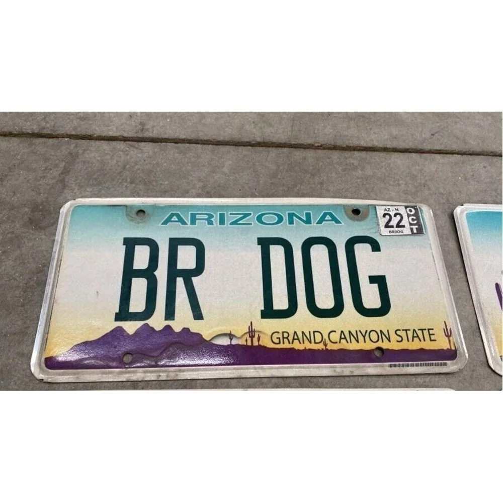 Vintage 2022 Arizona Auto License Plate Man Cave Decor Collector BR DOG Grand